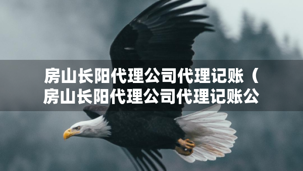 房山長陽代理公司代理記賬（房山長陽代理公司代理記賬公司地址）