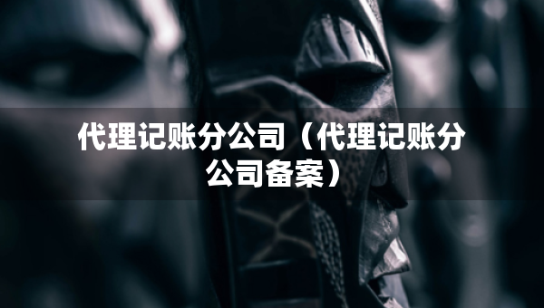 代理記賬分公司（代理記賬分公司備案）