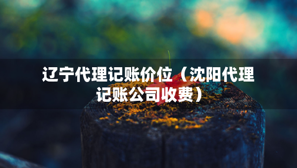 遼寧代理記賬價位（沈陽代理記賬公司收費）