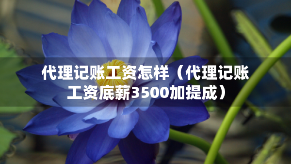 代理記賬工資怎樣（代理記賬工資底薪3500加提成）