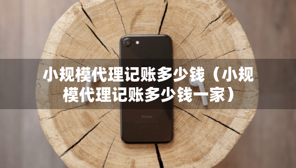 小規(guī)模代理記賬多少錢（小規(guī)模代理記賬多少錢一家）