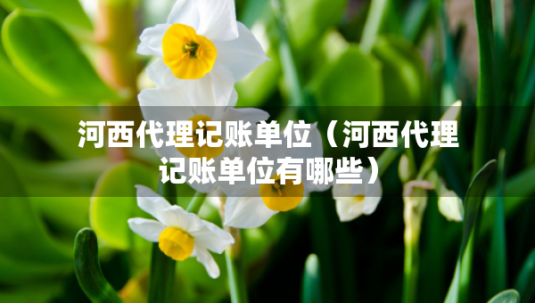 河西代理記賬單位（河西代理記賬單位有哪些）