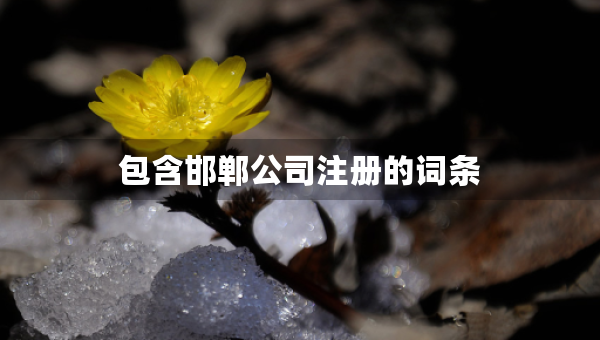 包含邯鄲公司注冊(cè)的詞條