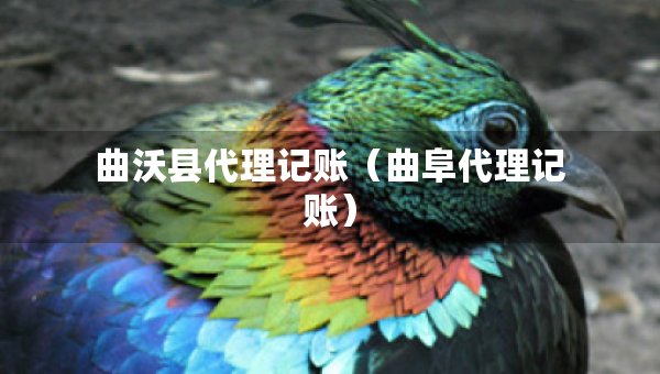 曲沃縣代理記賬（曲阜代理記賬）
