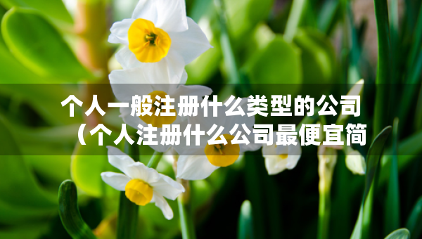 個(gè)人一般注冊(cè)什么類型的公司（個(gè)人注冊(cè)什么公司最便宜簡(jiǎn)單?）