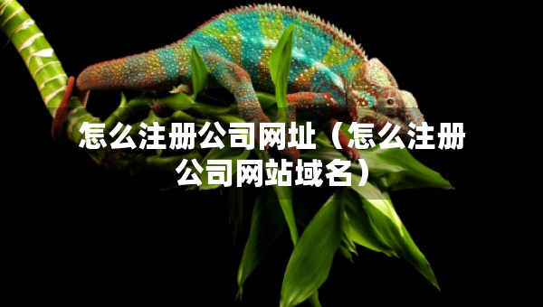 怎么注冊(cè)公司網(wǎng)址（怎么注冊(cè)公司網(wǎng)站域名）