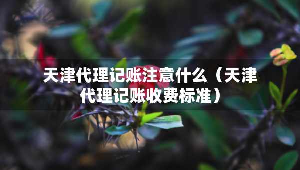 天津代理記賬注意什么（天津代理記賬收費標(biāo)準(zhǔn)）