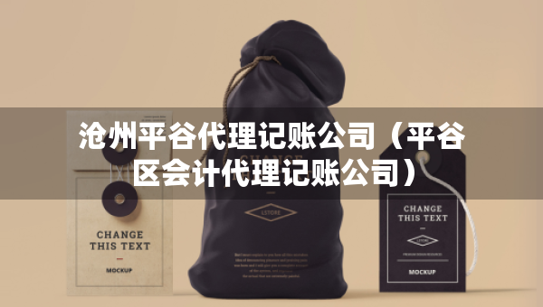 滄州平谷代理記賬公司（平谷區(qū)會計代理記賬公司）