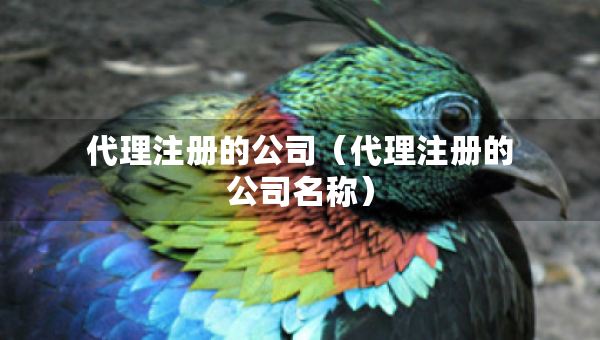 代理注冊(cè)的公司（代理注冊(cè)的公司名稱(chēng)）
