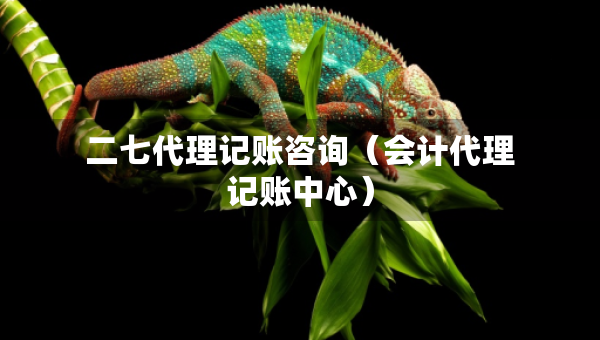 二七代理記賬咨詢（會計代理記賬中心）