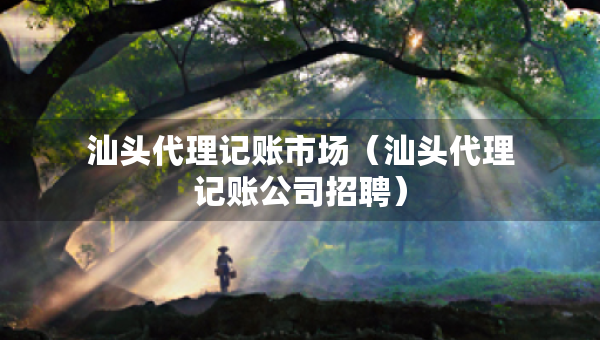 汕頭代理記賬市場(chǎng)（汕頭代理記賬公司招聘）