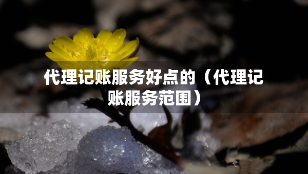 代理記賬服務(wù)好點(diǎn)的（代理記賬服務(wù)范圍）