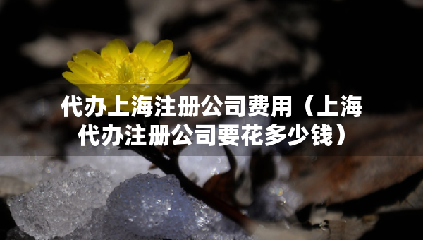 代辦上海注冊公司費用（上海代辦注冊公司要花多少錢）
