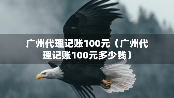 廣州代理記賬100元（廣州代理記賬100元多少錢）