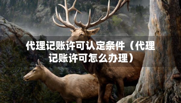 代理記賬許可認(rèn)定條件（代理記賬許可怎么辦理）