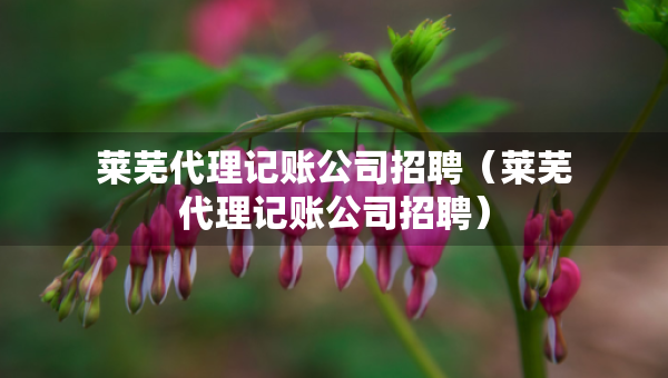 萊蕪代理記賬公司招聘（萊蕪代理記賬公司招聘）