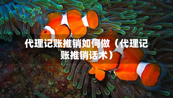 代理記賬推銷如何做（代理記賬推銷話術(shù)）
