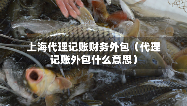 上海代理記賬財(cái)務(wù)外包（代理記賬外包什么意思）
