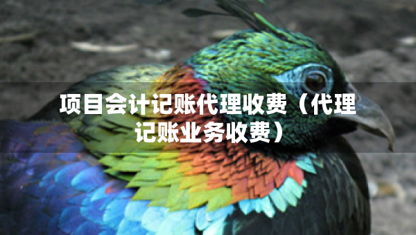 項(xiàng)目會(huì)計(jì)記賬代理收費(fèi)（代理記賬業(yè)務(wù)收費(fèi)）