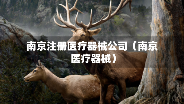 南京注冊醫(yī)療器械公司（南京 醫(yī)療器械）