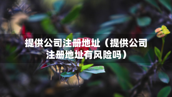 提供公司注冊地址（提供公司注冊地址有風(fēng)險(xiǎn)嗎）