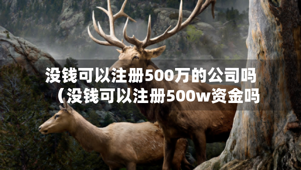沒(méi)錢可以注冊(cè)500萬(wàn)的公司嗎（沒(méi)錢可以注冊(cè)500w資金嗎）