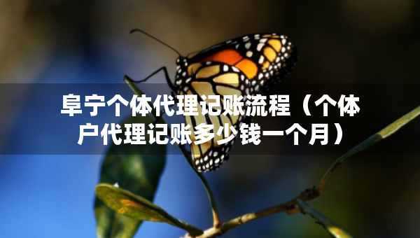 阜寧個(gè)體代理記賬流程（個(gè)體戶代理記賬多少錢一個(gè)月）
