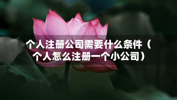 個(gè)人注冊公司需要什么條件（個(gè)人怎么注冊一個(gè)小公司）
