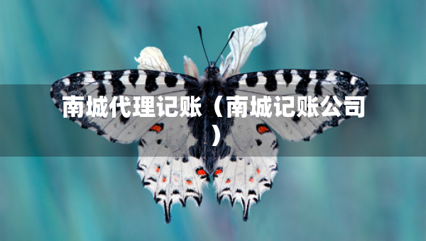 南城代理記賬（南城記賬公司）