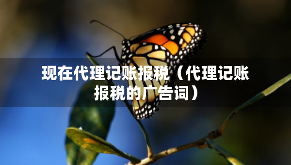 現(xiàn)在代理記賬報(bào)稅（代理記賬報(bào)稅的廣告詞）
