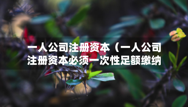 一人公司注冊(cè)資本（一人公司注冊(cè)資本必須一次性足額繳納）