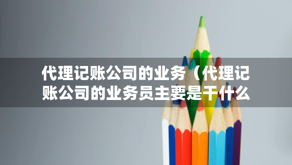 代理記賬公司的業(yè)務(wù)（代理記賬公司的業(yè)務(wù)員主要是干什么）