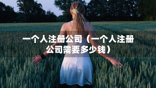 一個(gè)人注冊公司（一個(gè)人注冊公司需要多少錢）