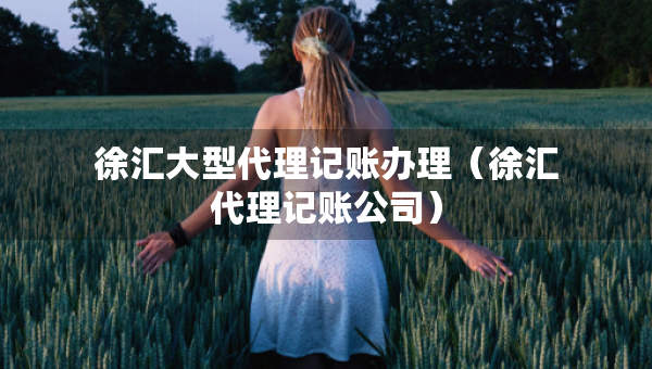 徐匯大型代理記賬辦理（徐匯代理記賬公司）