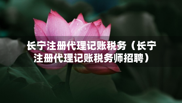 長(zhǎng)寧注冊(cè)代理記賬稅務(wù)（長(zhǎng)寧注冊(cè)代理記賬稅務(wù)師招聘）