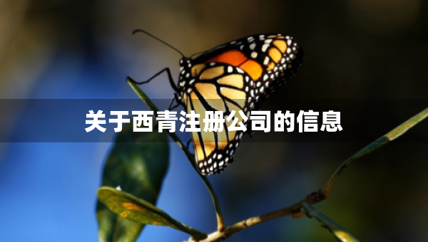 關(guān)于西青注冊公司的信息