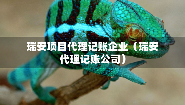 瑞安項目代理記賬企業(yè)（瑞安代理記賬公司）