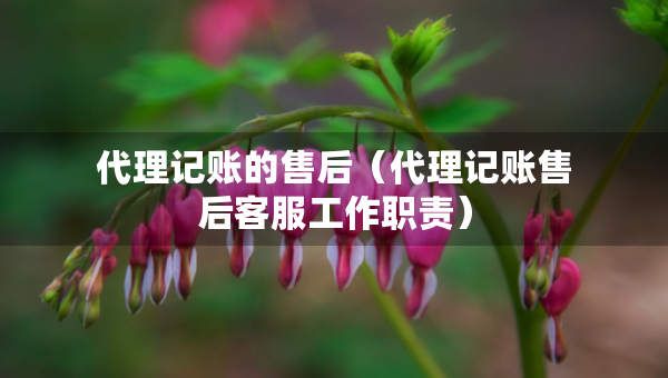 代理記賬的售后（代理記賬售后客服工作職責）