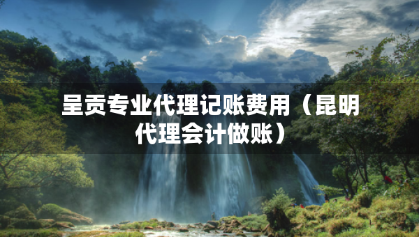 呈貢專業(yè)代理記賬費用（昆明代理會計做賬）