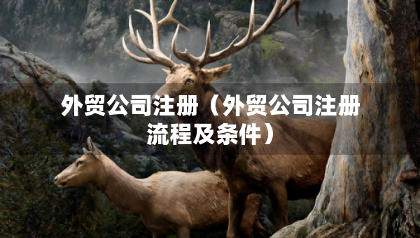 外貿(mào)公司注冊(cè)（外貿(mào)公司注冊(cè)流程及條件）