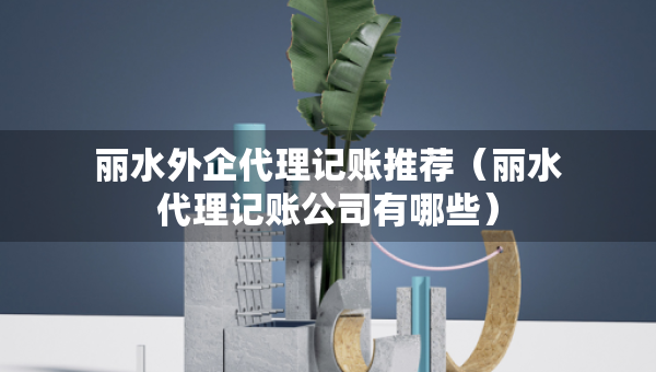 麗水外企代理記賬推薦（麗水代理記賬公司有哪些）