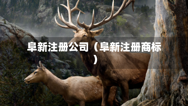 阜新注冊(cè)公司（阜新注冊(cè)商標(biāo)）
