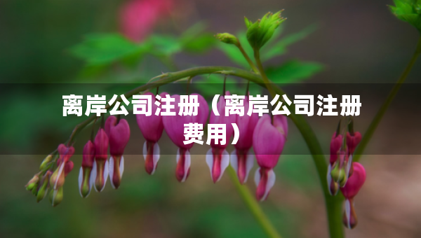 離岸公司注冊（離岸公司注冊費用）