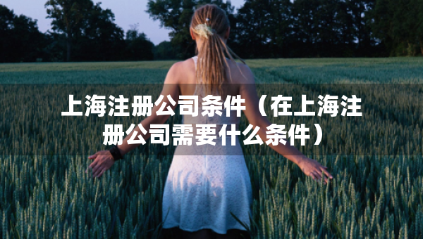 上海注冊公司條件（在上海注冊公司需要什么條件）
