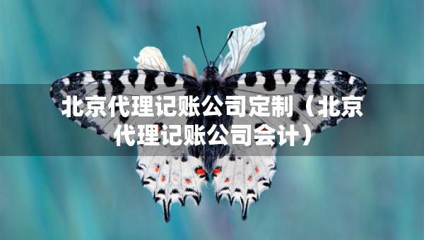 北京代理記賬公司定制（北京代理記賬公司會(huì)計(jì)）
