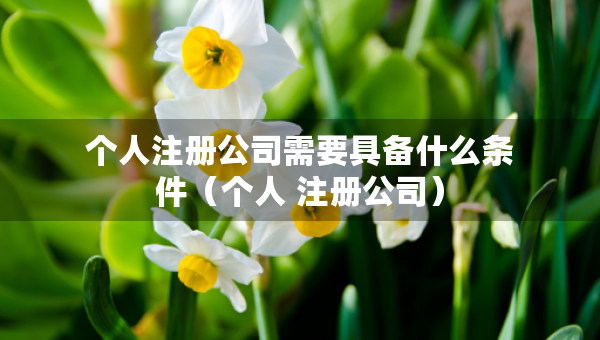 個(gè)人注冊公司需要具備什么條件（個(gè)人 注冊公司）