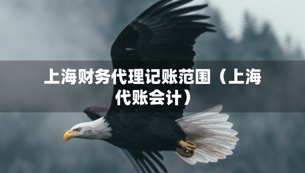 上海財(cái)務(wù)代理記賬范圍（上海代賬會(huì)計(jì)）
