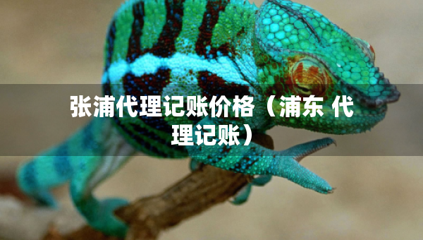 張浦代理記賬價格（浦東 代理記賬）