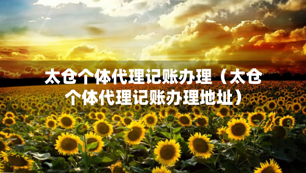 太倉個體代理記賬辦理（太倉個體代理記賬辦理地址）