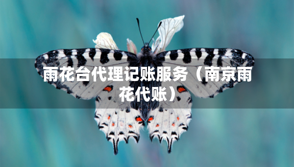 雨花臺(tái)代理記賬服務(wù)（南京雨花代賬）